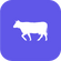 Gestation Period for Cattle Calculator
