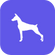 Dog Pregnancy Calculator
